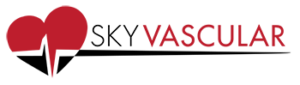 SKYvascular
