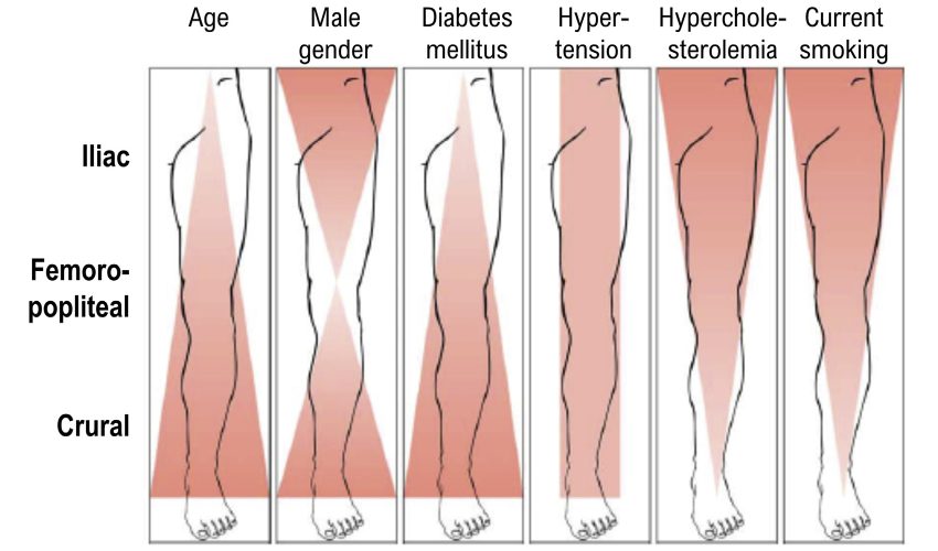 Association of risk factors with the level of atherosclerotic target lesions.