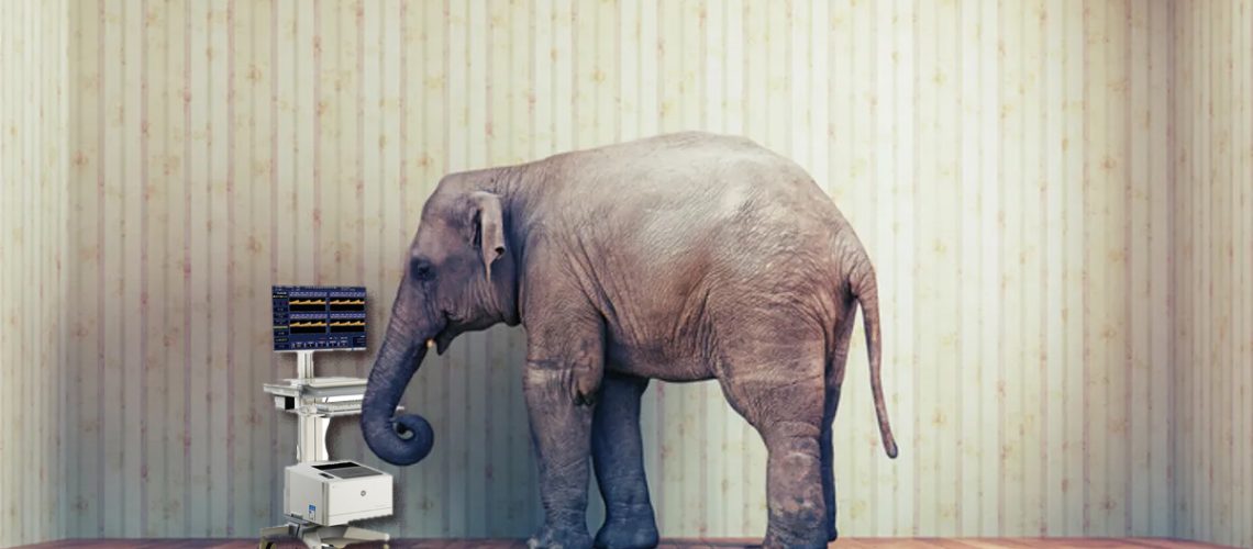 elephant in the room_1200x628